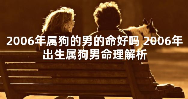 2006年属狗的男的命好吗 2006年出生属狗男命理解析